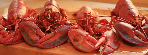 cooked_lobsters_960x360